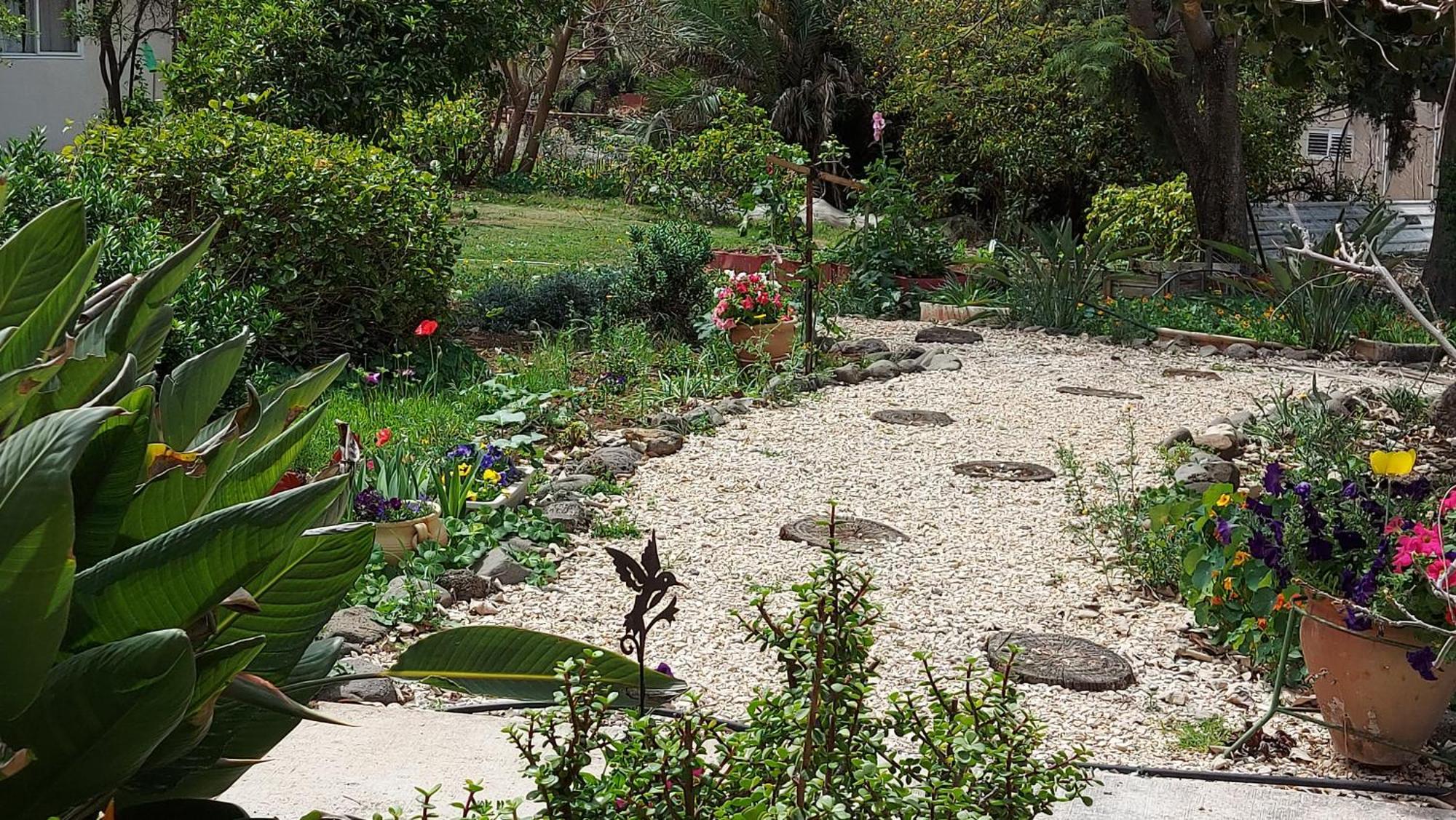 Pundak Guesthouse Ramot Exteriér fotografie